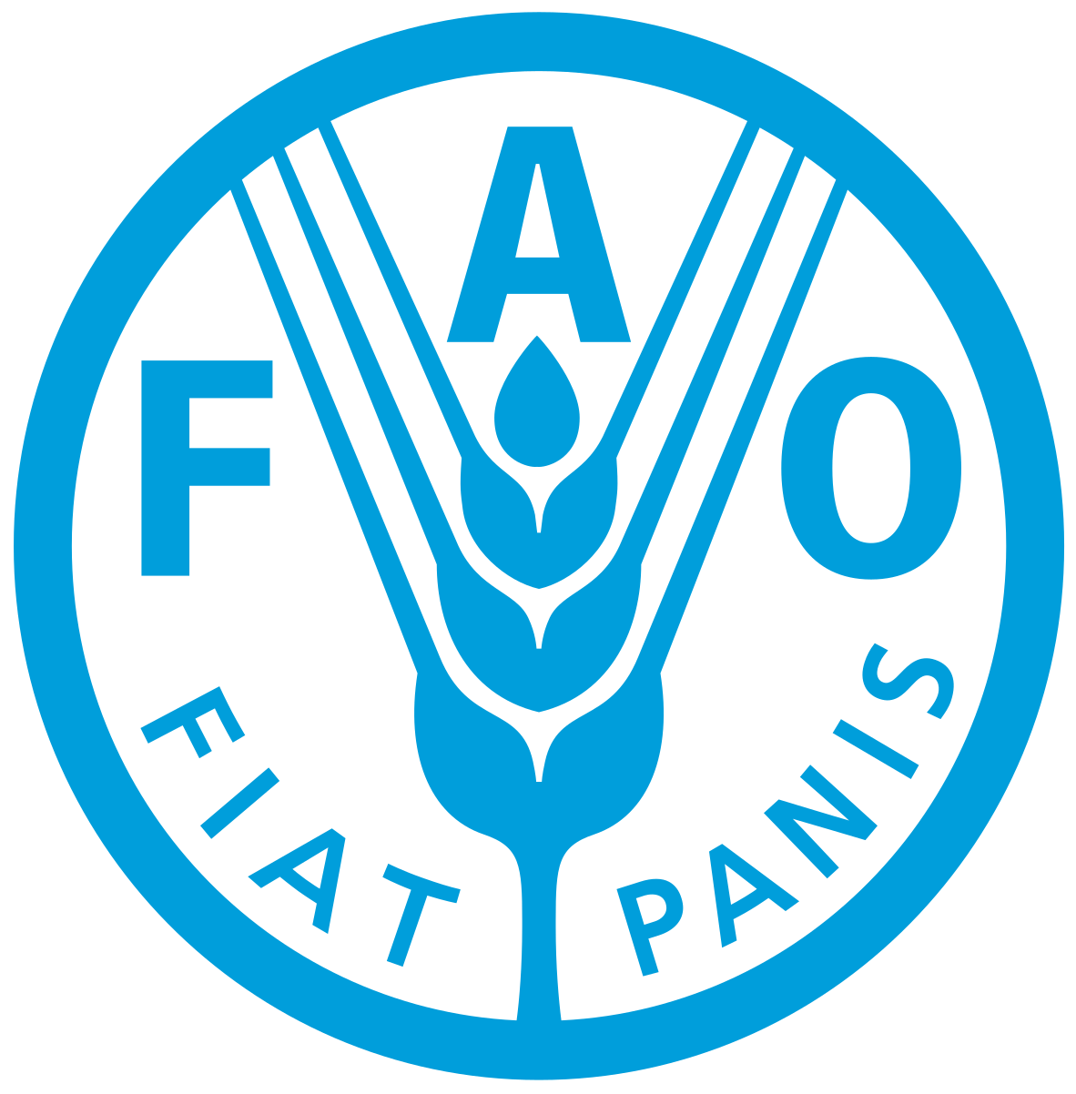 Our partners